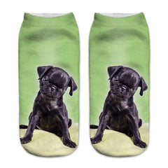 Chamsgend Newly Design Women Girls Rottweiler Dog 3D Print Female Socks Drop Shipping