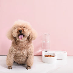 Dog Bowl Cat Feeder Bowl With Water Bottle Automatic Drinker Feeding Bowl Save Space Dog Bowl Cat Bowl Pet Supplies