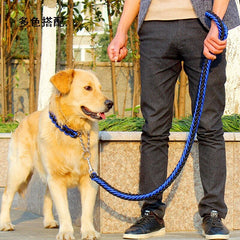 Dog Leash with P Chain Collar Traction Rope Dog Lead for Smal Large and Medium Dogs