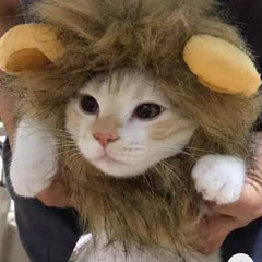 Cute Brown Lion Mane Hair Cat Puppy Wig Hat Pets Funny Clothes Costume Cosplay Kitten Dog Hat with Ears Fancy Party Supplies